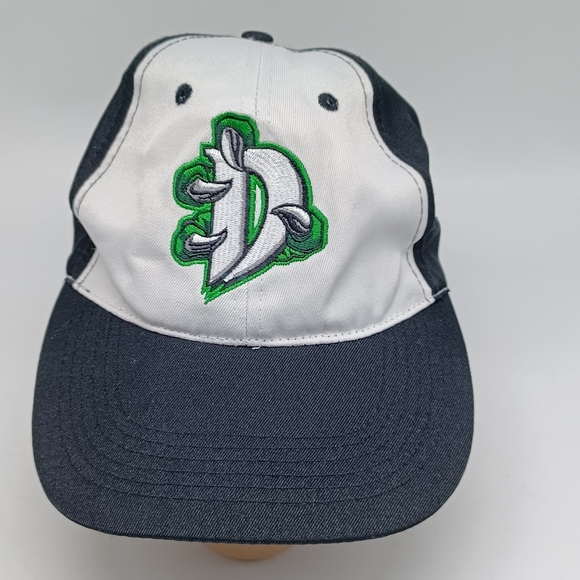 Northeast Dragon's Baseball Custom Hat Size 4-5Y - Picture 1 of 9